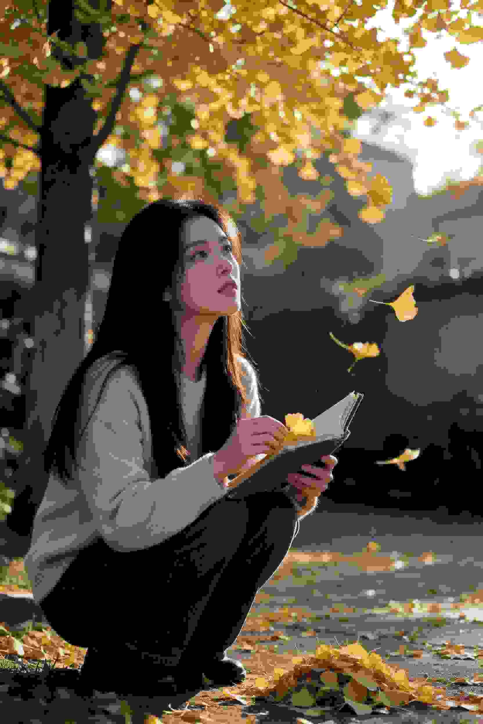 父女情深